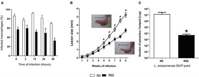 Mapping Alterations Induced by Long-Term Axenic Cultivation of Leishmania amazonensis Promastigotes With a Multiplatform Metabolomic Fingerprint Approach